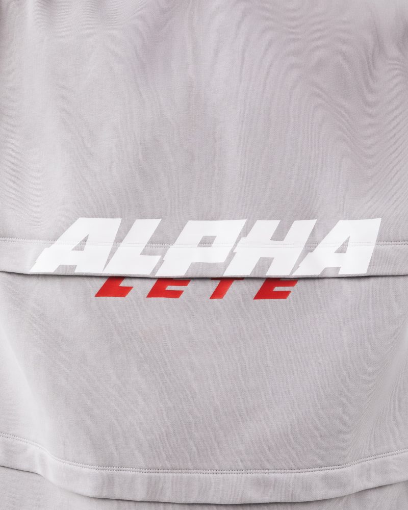 AlphaLayeredHoodieChrome5